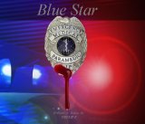 Blue Star Emergency Medical Paramedic