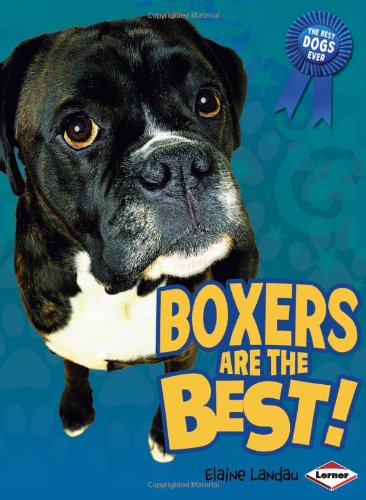 Boxers Are the Best! (Best Dogs Ever)