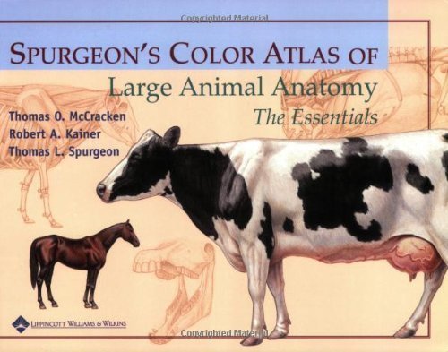 Spurgeon's Color Atlas of Large Animal Anatomy: The Essentials by Thomas O. McCracken (Sep 17 2008)