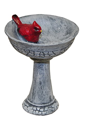 G & F Products MiniGardenn Cardinal Birdbath Pick, 2.25" Polyresin Miniature with Metal Stake, Outdoor Mini Kit Decoration, Fairy Ornament Accessory for Planters, Terrariums, Mini Scenes & More