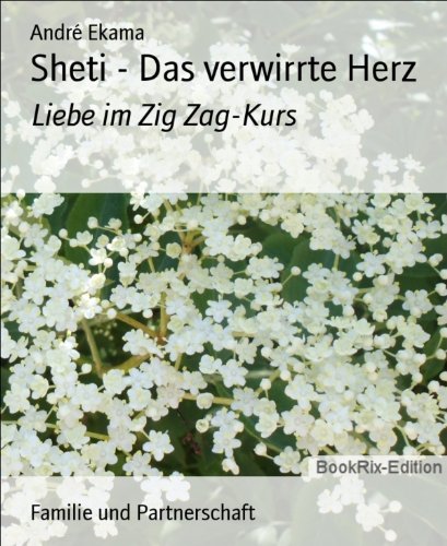 Sheti - Das verwirrte Herz: Liebe im Zig Zag-Kurs (German Edition)