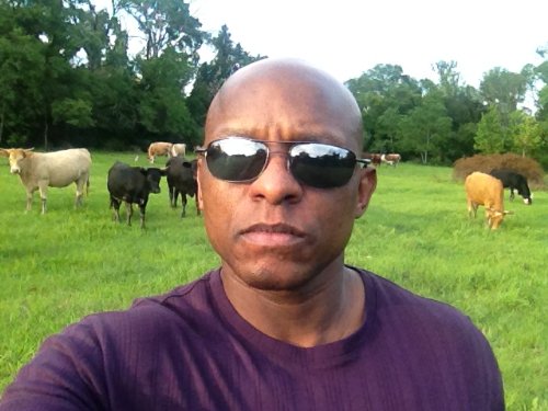 Your Cow Is Not Holy!