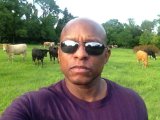 Your Cow Is Not Holy!