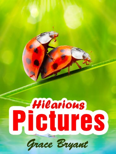 Hilarious Pictures - Funny Pictures About People, Animals, and Everyday Objects (with Captions)