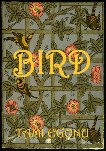 BIRD (The Bird Trilogy Book 1)