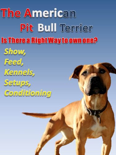 The American Pit Bull Terrier