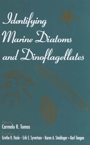 Identifying Marine Diatoms and Dinoflagellates