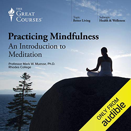Book Cover Practicing Mindfulness: An Introduction to Meditation