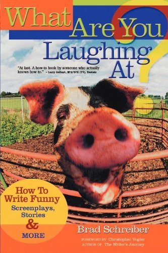 What Are You Laughing At? How to Write Funny Screenplays, Stories, and More by Schreiber, Brad [Michael Wiese Productions,2003] (Paperback)