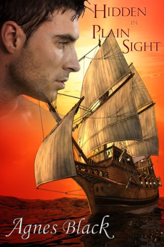 Hidden in Plain Sight (Igniting Embers Book 0)