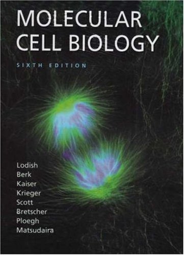 Molecular Cell Biology & eBook 6th (sixth) Edition by Lodish, Harvey, Berk, Arnold, Kaiser, Chris A., Krieger, Mon published by W. H. Freeman (2007)