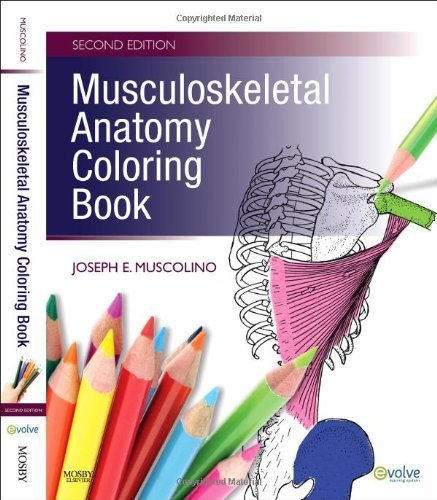 Musculoskeletal Anatomy Coloring Book by Muscolino DC, Joseph E.. (Mosby,2009) [Paperback] 2ND EDITION