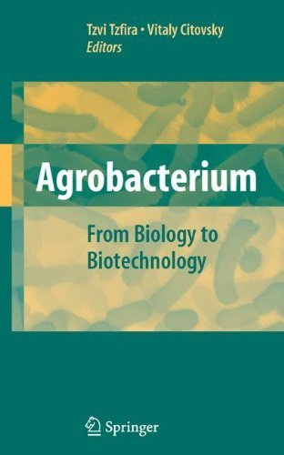 Agrobacterium. (Springer,2009) [Paperback] Reprint Edition