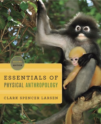 Essentials of Physical Anthropology by Larsen, Clark Spencer. (W. W. Norton & Company,2012) [Paperback] Second (2nd) edition