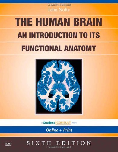 The Human Brain by Nolte PhD<br>PhD, John. (Mosby,2008) [Paperback] 6th Edition