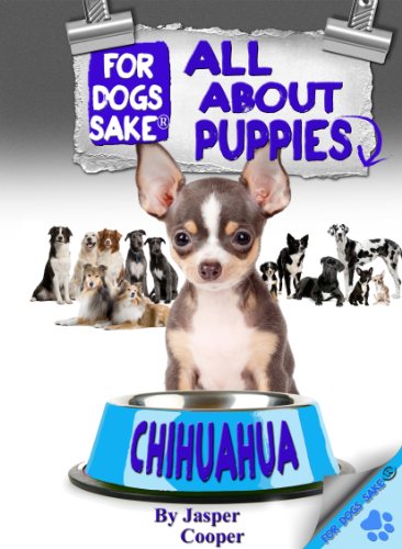 All About Chihuahua Puppies