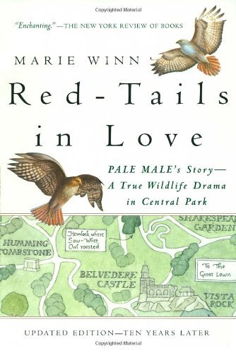 Red-Tails in Love: A Wildlife Drama in Central Park (Vintage Departures) [Paperback] [1999] (Author) Marie Winn