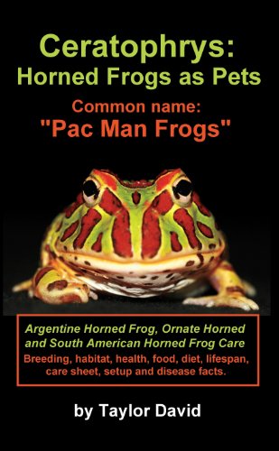 Ceratophrys: Horned Frogs as Pets: Common name: "Pac Man Frogs"
