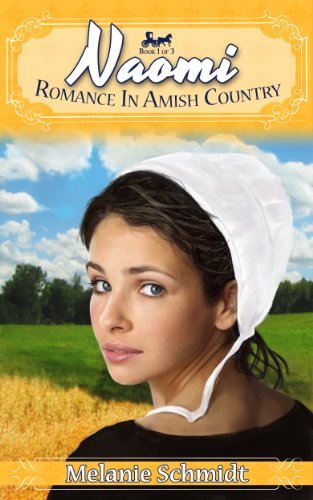 Naomi's Story: A Romance in Amish Country Story