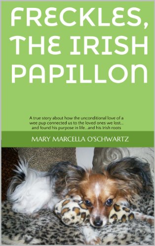 Freckles, the Irish Papillon