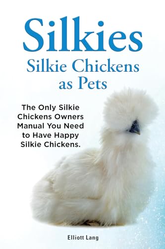 Silkies or Silkie Chickens as pets. Silkie Bantams facts, raising, breeding, care, food and where to buy all covered. Including black, white, Chinese and bearded silkie chickens.