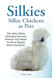 Silkies or Silkie Chickens as pets. Silkie Bantams facts, raising, breeding, care, food and where to buy all covered. Including black, white, Chinese and bearded silkie chickens.