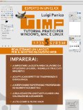 Gimp. Tutorial pratici per Windows, Mac e Linux. Livello 5 (Esperto in un click Vol. 48) (Italian Edition)