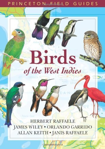 [ BIRDS OF THE WEST INDIES (PRINCETON FIELD GUIDES) ] By Raffaele, Herbert ( Author) 2003 [ Paperback ]