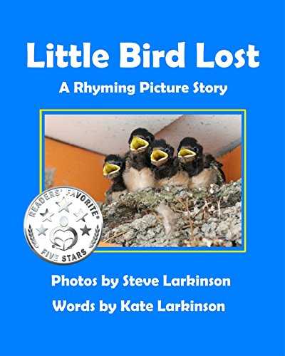 Little Bird Lost: A Rhyming Picture Story