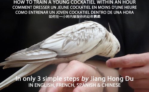 How to Train a Young Cockatiel