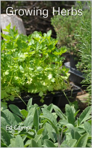 Growing Herbs, How To Grow Herbs in Beds, Containers, Pots, Baskets, Window Boxes