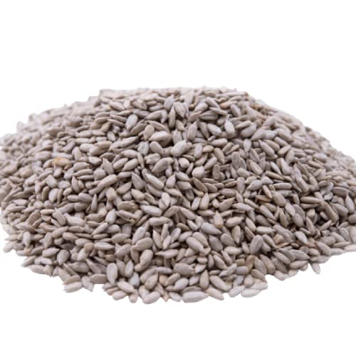 GERBS Lightly Sea Salted Roasted Sunflower Seed Kernels No Shell 2 lbs., Top 14 Allergy Free Foods, Healthy Superfood Snack, Non GMO, Dry Roast, No Oils, No Preservatives, Resealable Bag, Gluten Free, Vegan, Keto, Kosher