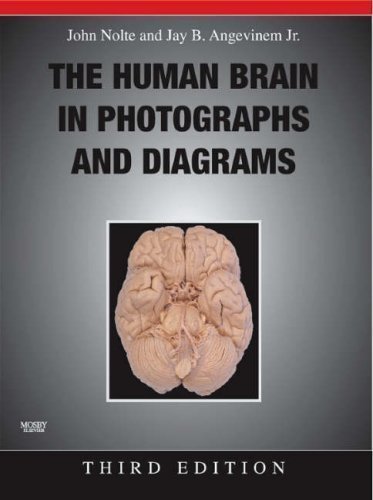 The Human Brain in Photographs and Diagrams with CD-ROM, 3e 3rd (third) Edition by Nolte PhD<br>PhD, John, Angevine Jr. PhD, Jay B. published by Mosby (2007) Spiral-bound