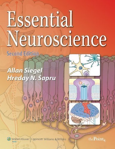Essential Neuroscience (Point (Lippincott Williams & Wilkins)) 2 Pap/Psc Edition by Siegel PhD, Dr. Allan, Sapru PhD, Dr. Hreday N. published by Lippincott Williams & Wilkins (2010) Paperback