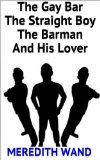 The Gay Bar, The Straight Boy, The Barman And His Lover