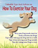 Valuable Tips and Advice on  How to Exercise Your Dog