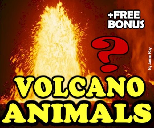 Deep Sea Volcano Burning Water Animals: A Kids' Learn to Read Book with Amazing Facts and Large Photos (Free Bonus: 30+ Free Online Kids' Jigsaw Puzzle Games!) (Kids Exploration)