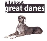 Great Dane: Pictures and facts about the boxer