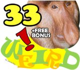 The 33 Weird Animals You May Not Know
