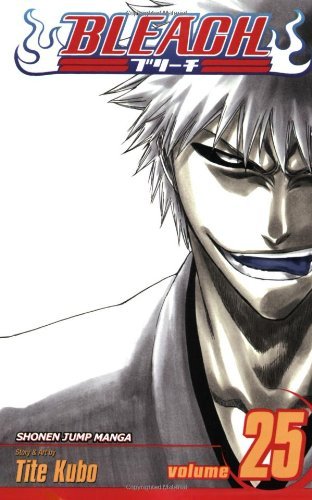 Bleach, Vol. 25: No Shaking Throne
