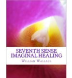 Seventh Sense Imaginal Healing: An Homage to Dr. Richard Bartlett, Benjamin Bibb, Barbara Ann Brennan, Donna Eden, Dr. Meg Blackburn Losey, Dr. Gerald (Paperback) - Common