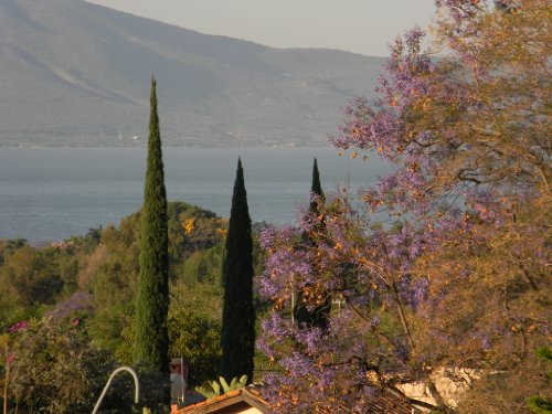 38 Things You Should Know Before Moving To Ajijic MX