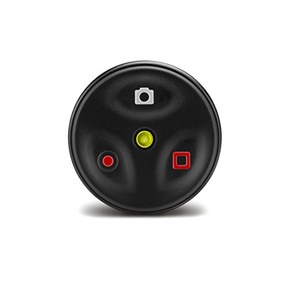 Garmin Virb Remote