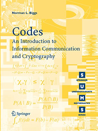 Codes: An Introduction to Information Communication and Cryptography (Springer Undergraduate Mathematics Series)