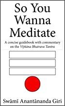 So You Wanna Meditate - A concise guidebook with commentary on the Vijnana Bhairava Tantra