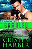 Gambled: A Novella (Titan Book 4)