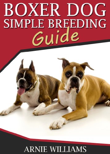 Boxer Dog Breeding: A Simple Guide