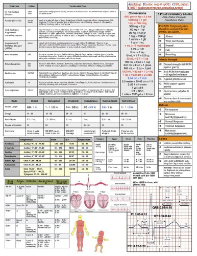 Nursing In Two Pages