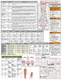 Nursing In Two Pages