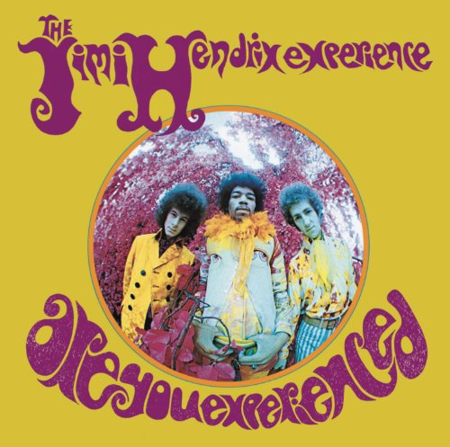 Book Cover Are You Experienced